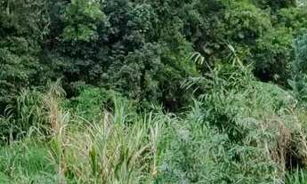 Imagem 2: Vende-se terreno, 300 metros