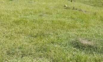 Imagem 3: 3m- não perca oportunidade de viver em meio a natureza