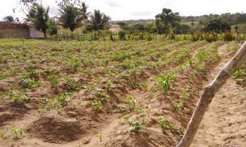 Imagem 3: Terreno em Araruna-PB - 510M² - Direto com proprietária