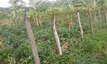 Imagem 5: Chacara Chácara com venda por R$150.000