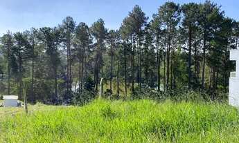 Imagem 2: Terreno à venda, 500 m² por R$ 350.000,00 - Lago do Sol - Cotia/SP
