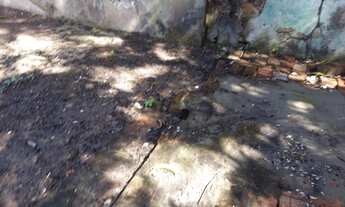 Imagem 3: Lote/Terreno para venda tem 969 metros quadrados em Encruzilhada - Recife - Pernambuco