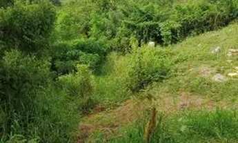 Imagem 2: Vende-se este terreno.