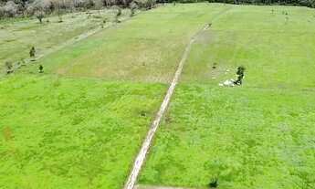 Imagem 5: 25 Hectares porteira fechada por 600 mil reais ha 40 km de Castanhal