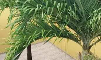 Imagem 7: Cidade Nova, próximo a Av das Torres