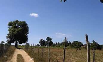 Imagem 5: Terreno em Araruna-PB - 510M² - Direto com proprietária