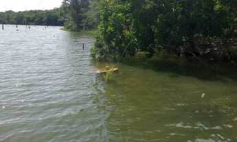 Imagem 5: Vendo chácara em Luzimanges Tocantins
