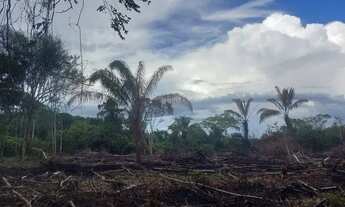 Imagem: Terreno Plano para Sítio no Km 26 da AM