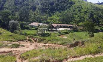 Imagem 7: SITIO COM RIBEIRÃOGADO CORTE/LEITECACHOEIRA PAULISTA -SP