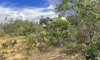 Imagem 6: Excelente oportunidade