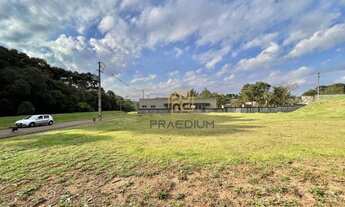 Imagem 4: Terreno à venda, 2976 m² por R$ 1.100.000 - Orleans - Curitiba/PR