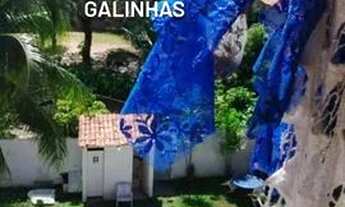 Imagem: Diária em Porto de Galinhas