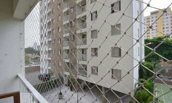 Imagem 6: Apartamento para Aluguel - Ipiranga, 3 Quartos, 67 m2