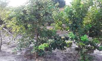 Imagem 3: Excelente casa 2qts 100m2