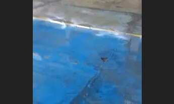 Imagem 5: Galpão/Depósito/Armazém para aluguel e venda com 12000 metros quadrados