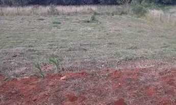 Imagem 3: Lote/Terreno para venda com 6600 metros quadrados em Centro - Quadra - SP