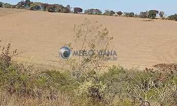 Imagem 6: Fazenda com sede centenária, 210 hectares, produção leiteira 10.000 litros dia