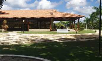 Imagem 7: Casa em gravatá