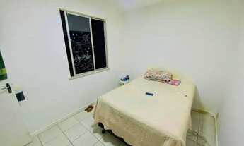 Imagem 6: Jardim Das Palmeiras 69842