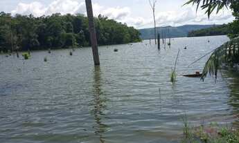 Imagem 3: Vendo chácara em Luzimanges Tocantins