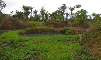 Imagem 5: Vendo lote rural