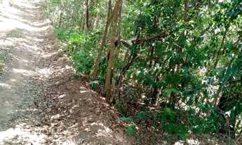 Imagem 3: Chácara para Venda em Abadiânia, Zona rural