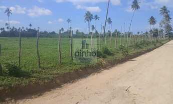 Imagem 4: Fazenda para Venda em Amélia Rodrigues, 3 dormitórios, 1 suíte
