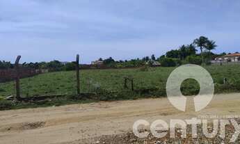 Imagem 6: Terreno no Recanto da Andorinhas