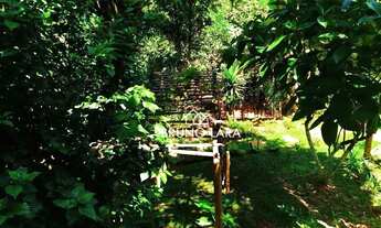 Imagem 3: Sítio disponível para venda e locação no Bairro Planalto Industrial - Igarapé/MG