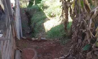 Imagem 3: Terreno Francisco Morato