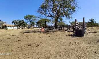 Imagem 4: Fazenda Rural à venda, Zona Rural, Jaraguá - FA0006