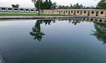 Imagem: Chacara 4 hectares na Rota do Cavalo - Sobradinho