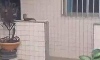 Imagem: Vende se casa grande 120 mil com kitnet