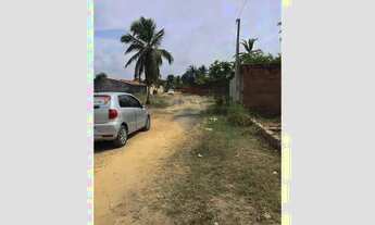 Imagem 7: Terreno Imperdível à Venda em Peroba Maragogi, Alagoas