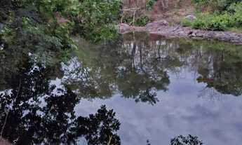 Imagem 6: FAZENDA 75 ALQUEIRES EM COLINAS/GO