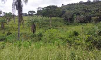 Imagem 7: Fazenda 75 hectares