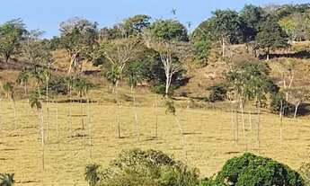 Imagem 6: Fazenda a venda, em Uruana - Goiás!!!