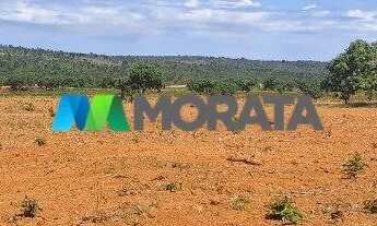 Imagem 7: FAZENDA À VENDA - 385 HECTARES - CORINTO - MG