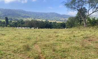 Imagem: FAZENDA 7 ALQUEIRES - HEITORAÍ - GO