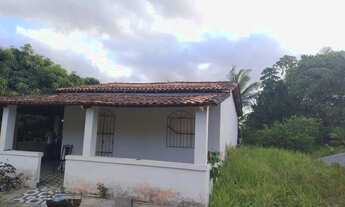 Imagem 2: VENDO SÍTIO EM ALAGOINHAS