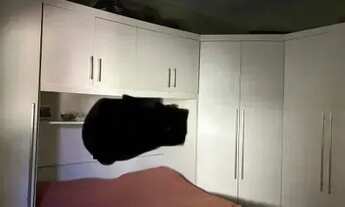 Imagem 3: Imóvel para venda com 400 metros quadrados com 3 quartos em Palhada - Nova Iguaçu - RJ