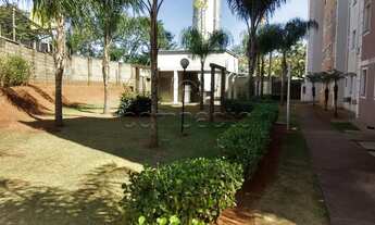 Imagem 7: Apartamento Padrão em São José do Rio Preto