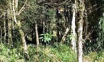 Imagem 2: Terreno para Venda em Nova Petrópolis, Linha Imperial