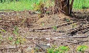 Imagem: Vendo ou troco terreno no João de barro