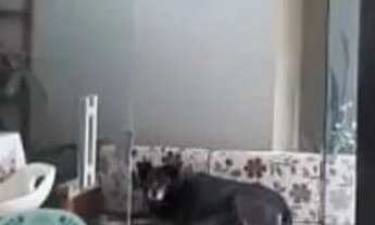 Imagem 6: Casa a venda no Paar