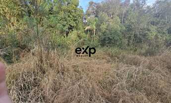 Imagem 7: Chácara em Agudos Do Sul bairro Papanduva - Oportunidade Única