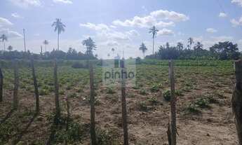 Imagem 3: Fazenda para Venda em Amélia Rodrigues, 3 dormitórios, 1 suíte