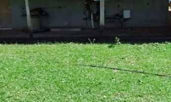 Imagem 3: Vendo fazenda de cultura boa