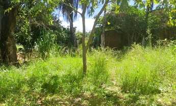 Imagem 4: Casa com terreno grande escritura leia