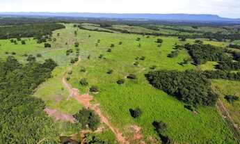 Imagem 4: Fazenda c/ 2.097he e 1.450he formados, 6km da BR, Jangada-MT